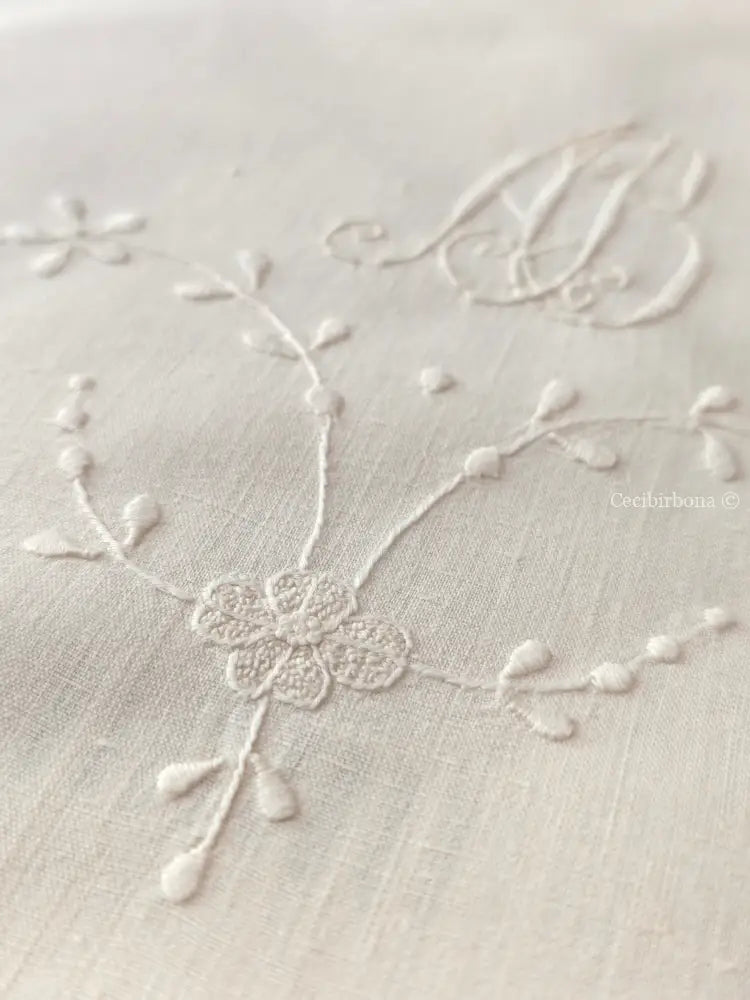 Asciugamano in lino antico con monogramma AB Asciugamano in lino antico