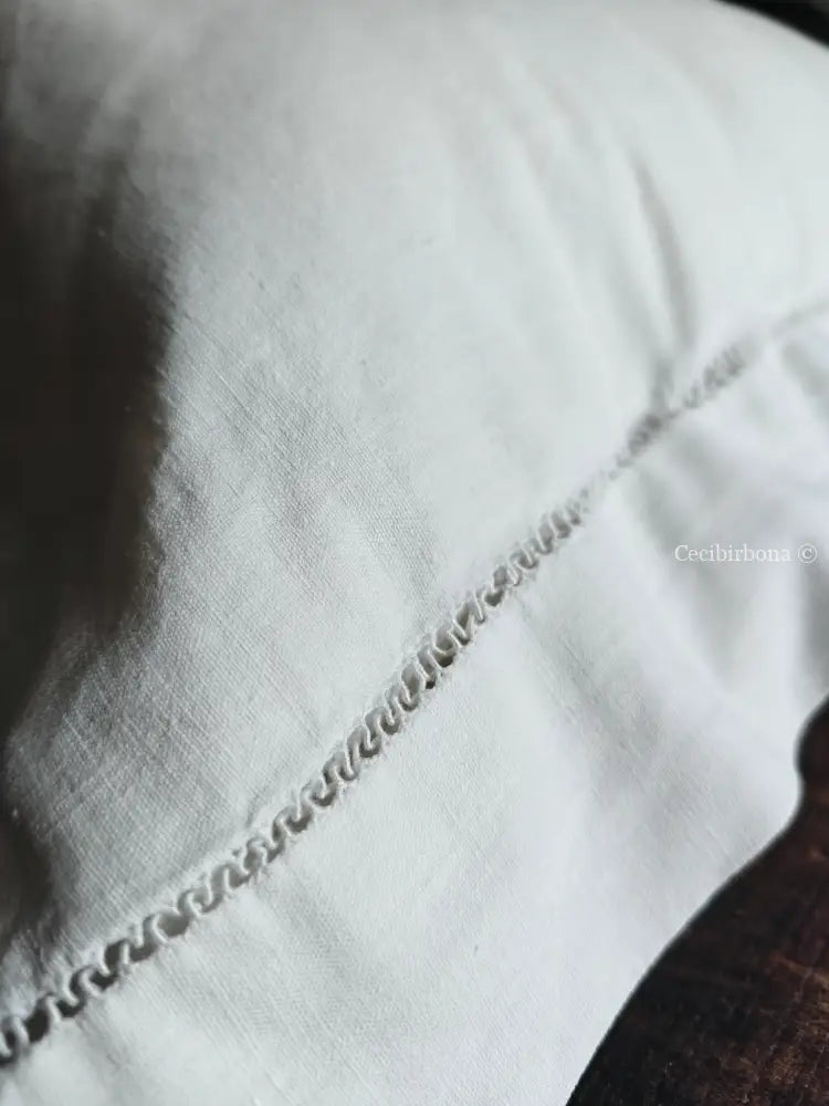 Coppia di federe antiche con ricami e monogramma SN biancheria antica per la casa