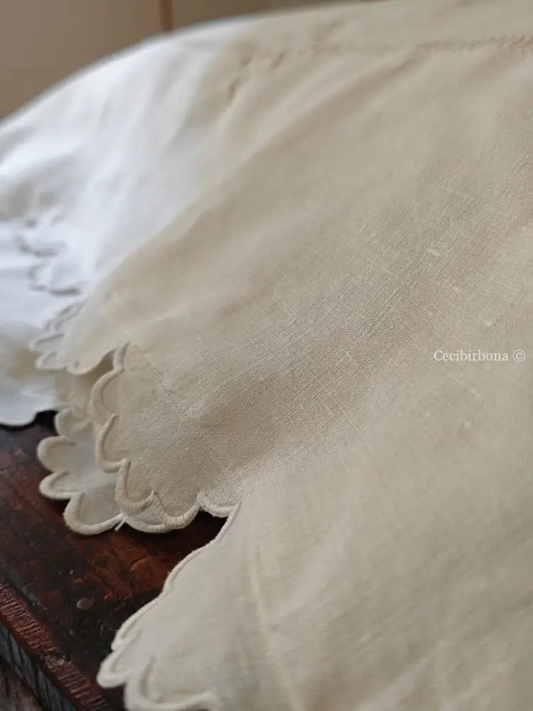 Coppia di federe antiche in lino con ricamo smerlo e monogramma NS biancheria antica per la casa