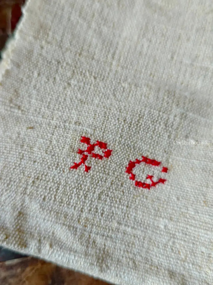 Due canovacci in canapa con monogramma PG biancheria antica per la casa