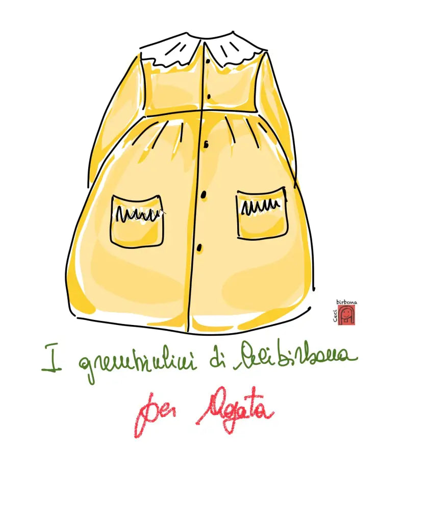 Riservato per Agata Il grembiulino bianco con le rose e i nontiscordardimé e colletto pierrot per scuola primaria