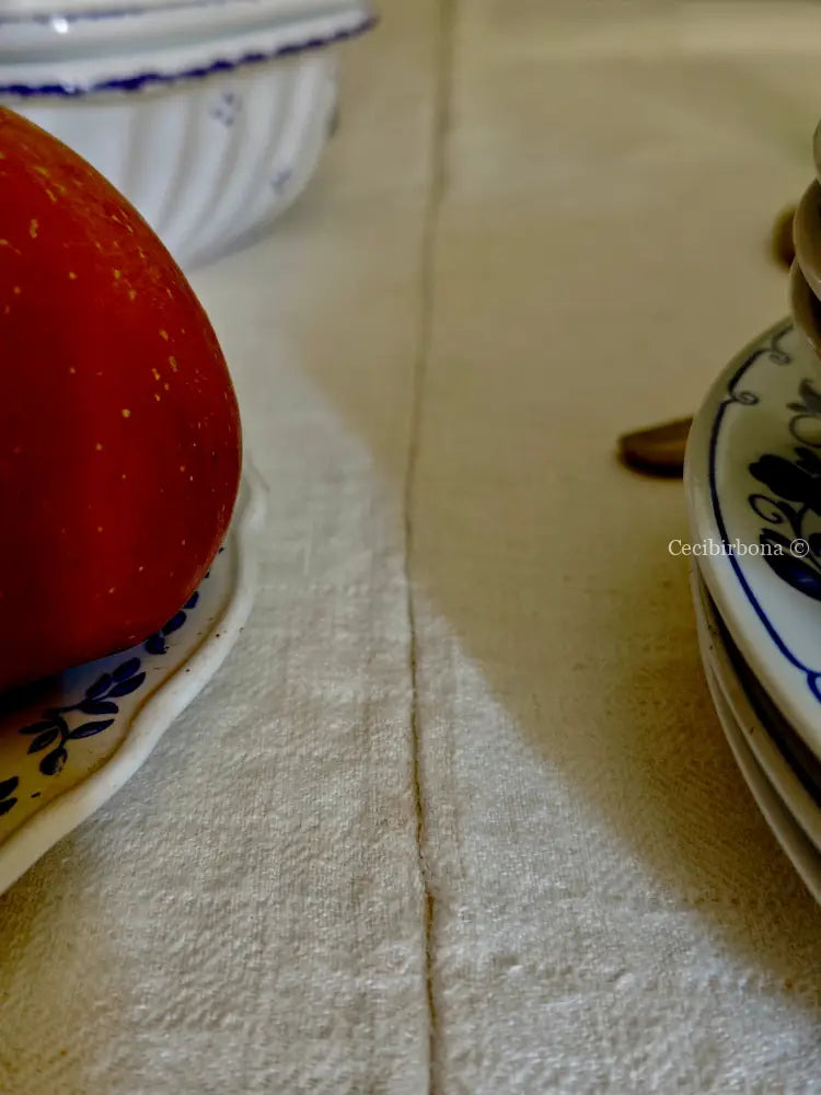 Tovaglia in canapa con monogramma ES Tovaglia vintage